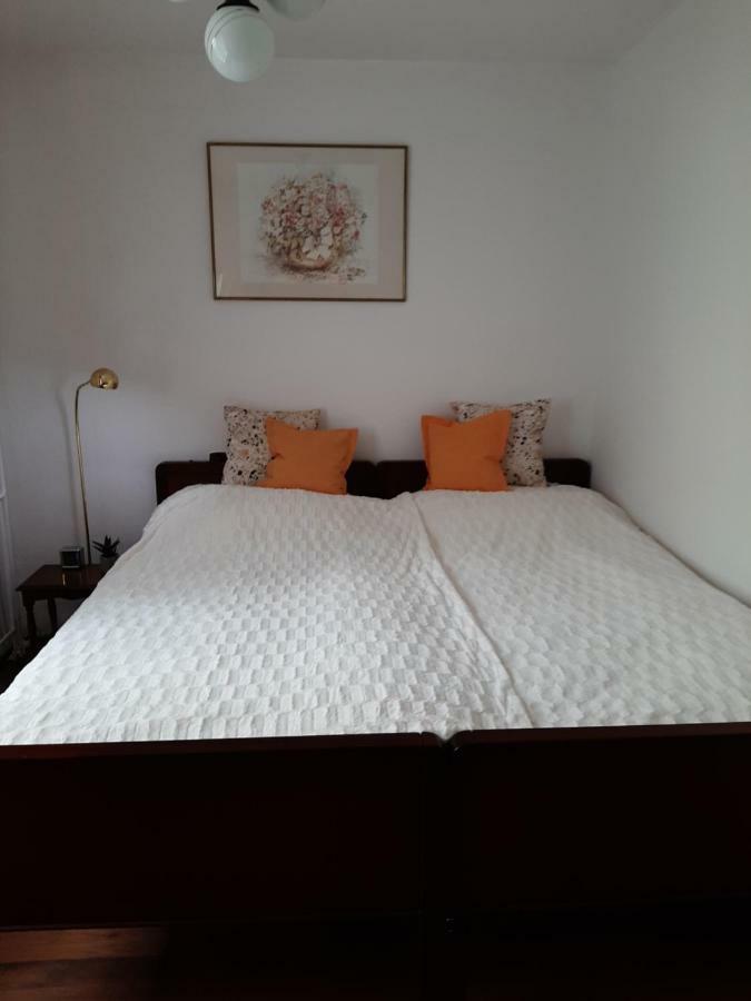 Apartament Piastowska Διαμέρισμα Kamienna Gora Εξωτερικό φωτογραφία