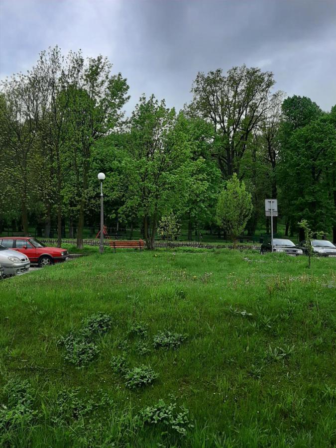 Apartament Piastowska Διαμέρισμα Kamienna Gora Εξωτερικό φωτογραφία